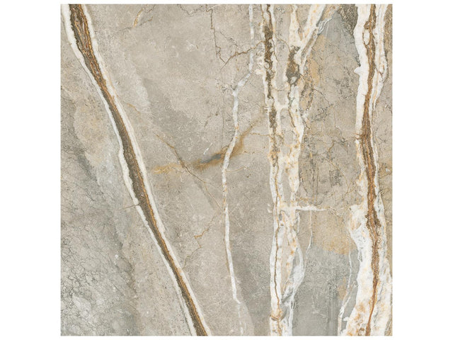 36 x 36 in Majesto Foresta Polished Rectified Colorsync Porcelain Tile