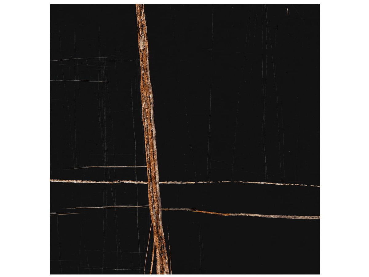36 x 36 in Majesto Sahara Noir Honed Rectified Colorsync Porcelain Tile