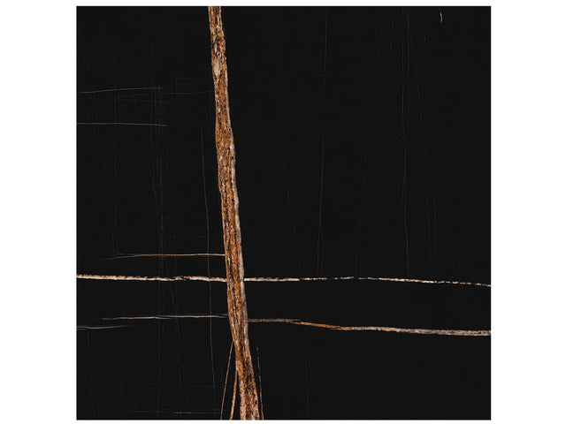 36 x 36 in Majesto Sahara Noir Honed Rectified Colorsync Porcelain Tile