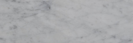4 X 12 in. Bianco Carrara White Honed Marble Tile - BUILDMYPLACE
