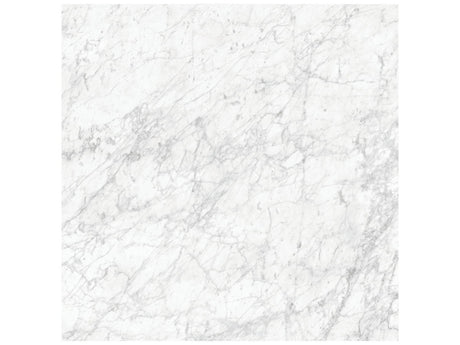 48 x 48 in Majesto Bianco Gioia Polished Rectified Colorsync Porcelain Tile
