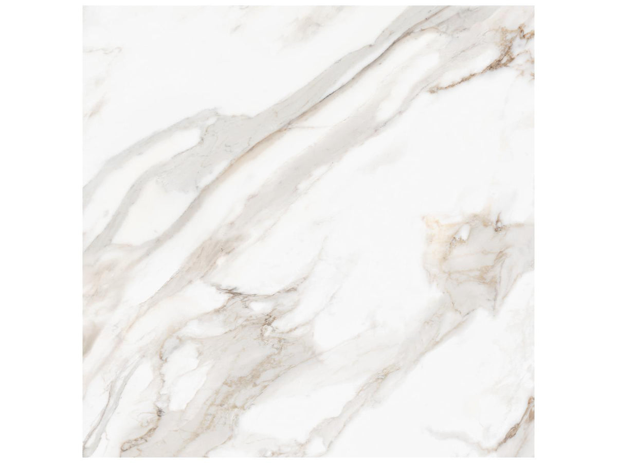 48 x 48 in Majesto Calacatta Oro Polished Rectified Colorsync Porcelain Tile
