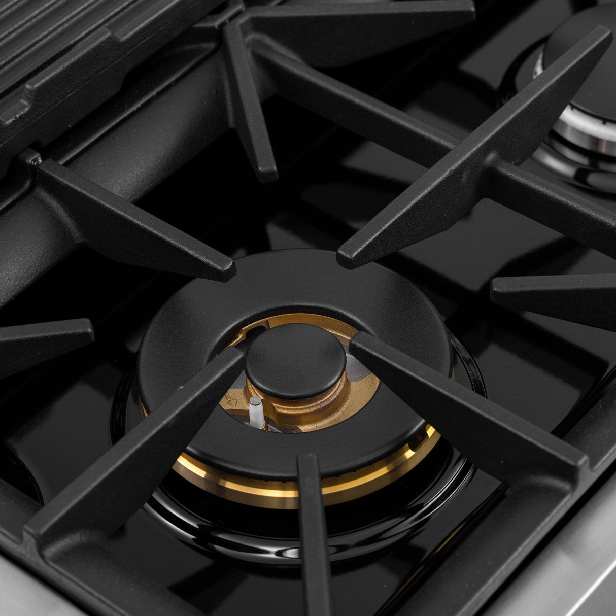 48 in. 6.7 cu. ft. 8 Burners Dual Fuel Range for Propane Gas in Stainless Steel with Kucht Horus Thermostat