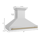 ZLINE Autograph Edition 48" Stainless Steel Range Hood with Stainless Steel Shell and Champagne Bronze Handle (8654STZ-48-CB)
