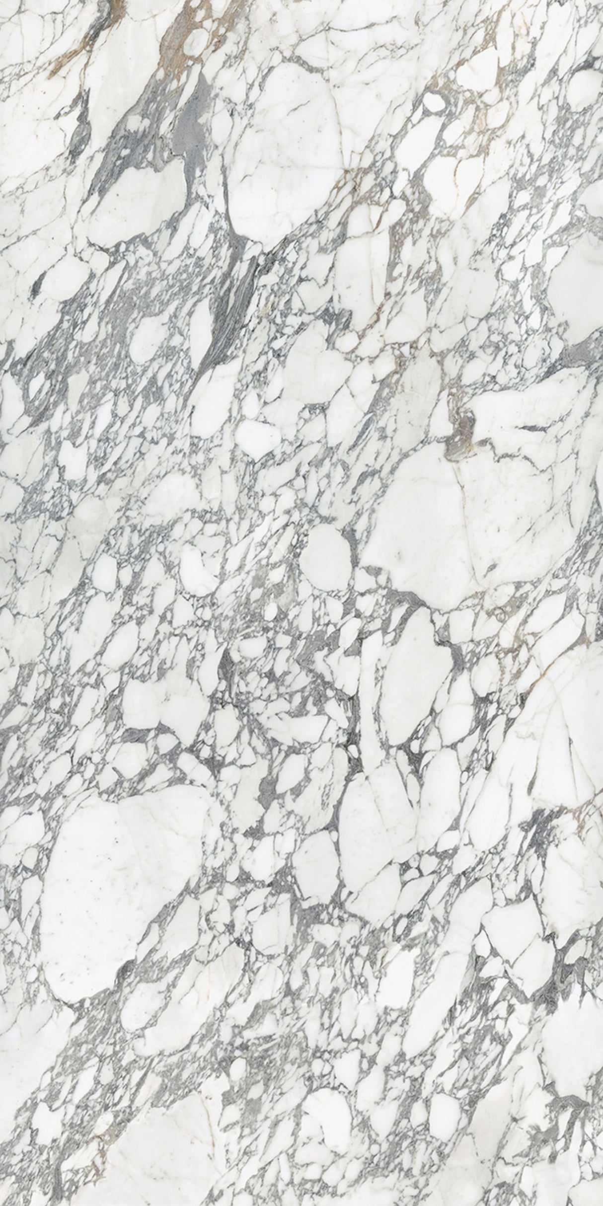 64 x 127 in Arabescato Corchia Block 59 Bookmatch Cut Honed Colorsync Sintered Slab 12 mm / 0.47 in