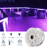 8W Neon Flex LED Rope Lights - BGRP - 120V, IP65 Rated - UL/ETL Listed - 200 Lumens - BUILDMYPLACE