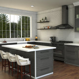 ZLINE Apollo Kitchen Faucet in Brushed Nickel (APL-KF-BN)