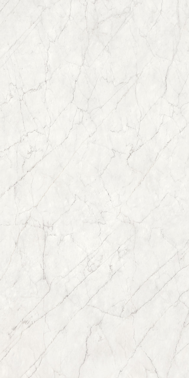 63 x 126 in Majesto Ariel Bianco Honed 6 mm, full slab face