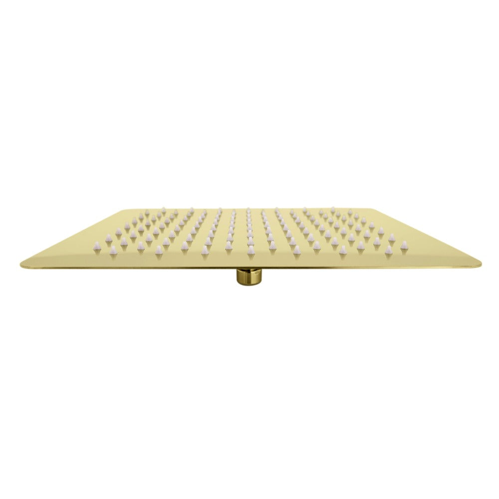 ZLINE Bliss 8 in. Rainfall Shower Head in Polished Gold (BLS-H8-PG)