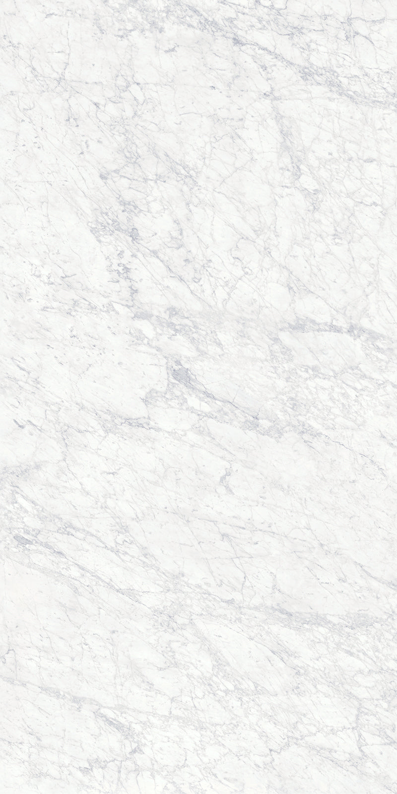 63 x 126 in Majesto Bianco Gioia Polished 6 mm, full slab face