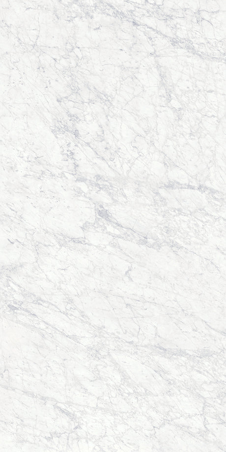 63 x 126 in Majesto Bianco Gioia Polished 6 mm, full slab face