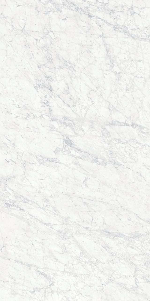 63 x 126 in Majesto Bianco Gioia Honed 6 mm, full slab face