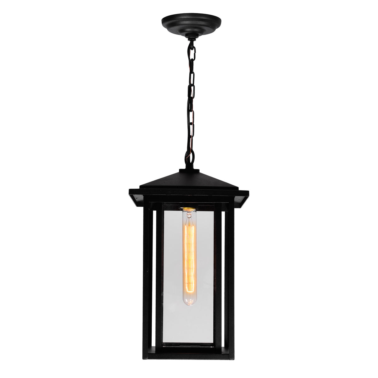 Crawford 1 Light Black Outdoor Pendant