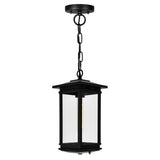 Oakwood 1 Light Outdoor Black Pendant