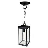 Windsor 1 Light Black Outdoor Pendant