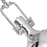 Show 1 Light Down Pendant With Chrome Finish