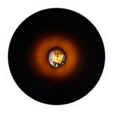 Brave 1 Light 13in Black Down Mini Pendant