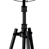Pamela 5 Light Floor Lamp With Black Finish