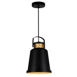 Elisa 1 Light Down Pendant With Black Finish