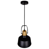 Elisa 1 Light 9in Black Down Pendant
