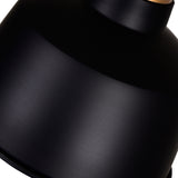 Elisa 1 Light 9in Black Down Pendant