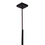 Assunta 1 Light Pendant With Black Finish
