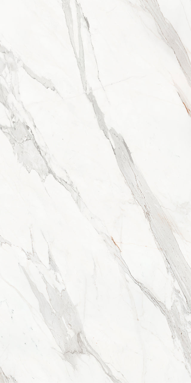 63 x 126 in Majesto Calacatta Borghini Honed 6 mm, full slab face