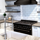 ZLINE Apollo Kitchen Faucet in Brushed Nickel (APL-KF-BN)
