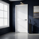 Ivanees 2-Panel Hollow Core Molded Shaker Door Slab 80 Inch Height