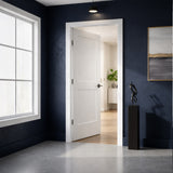 Ivanees 2-Panel Hollow Core Molded Shaker Door Slab 80 Inch Height