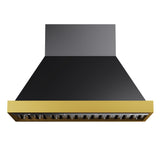 48 in. KUCHT 600 CFM Wall Mounted Range Hood in Titanium Stainless Steel with Gold Accents