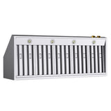 60 in. 900 1200 CFM Ducted Wall Mount Range Hood in Stainless Steel with Gold Accents and Digital Controls