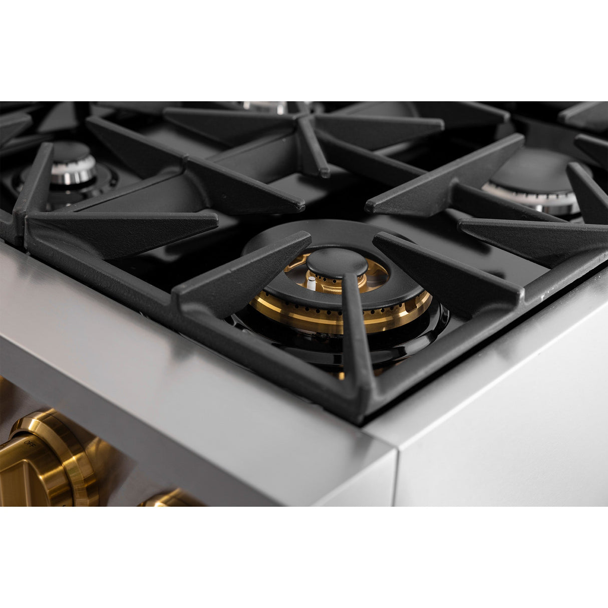 36 in. 5.2 cu. ft. 6 Burners Dual Fuel Range for Propane Gas in Stainless Steel with Kucht Horus Thermostat
