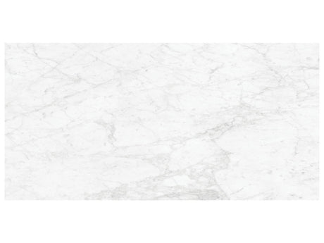 24 x 48 in Majesto Bianco Gioia Vintage Rectified Colorsync Porcelain Tile