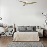 AERYN 52 inch 3 - Blade Best Smart Ceiling Fan with Wall Switch - White/Champagne - LEDMyPlace