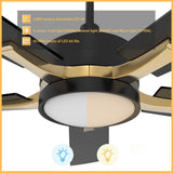 Appleton 52 Inch 5 - Blade Best Smart Ceiling Fan With Led Light Kit & Remote Control - Black/Black (Gold Detail) - LEDMyPlace