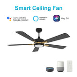 Appleton 52 Inch 5 - Blade Best Smart Ceiling Fan With Led Light Kit & Remote Control - Black/Black (Gold Detail) - LEDMyPlace