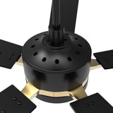 Appleton 52 Inch 5 - Blade Best Smart Ceiling Fan With Led Light Kit & Remote Control - Black/Black (Gold Detail) - LEDMyPlace