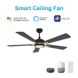APPLETON 52 inch 5 - Blade Smart Ceiling Fan with LED Light Kit & Remote - LEDMyPlace