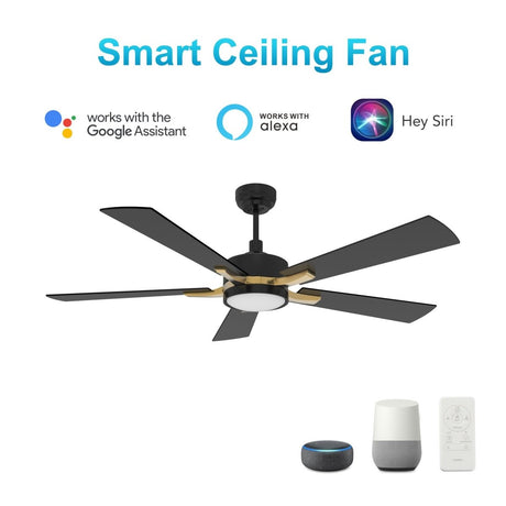 APPLETON 52 inch 5 - Blade Smart Ceiling Fan with LED Light Kit & Remote - LEDMyPlace