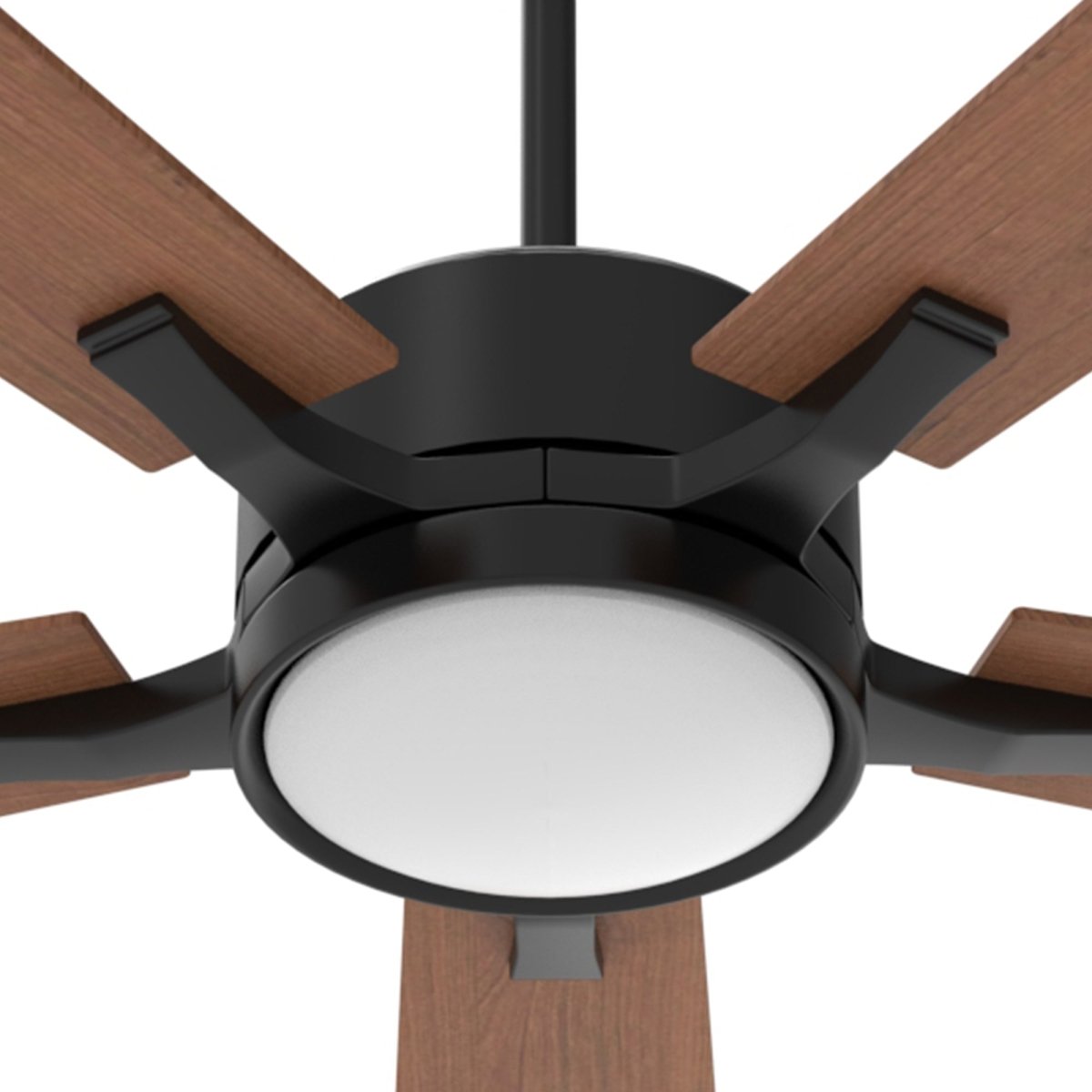 APPLETON 52 inch 5 - Blade Smart Ceiling Fan with LED Light & Remote - LEDMyPlace