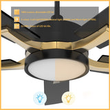 APPLETON 56 inch 5 - Blade Smart Ceiling Fan with LED Light Kit & Remote - LEDMyPlace