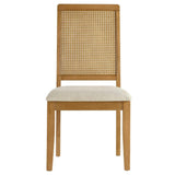 Arlo Faux Rattan and Wood Dining Side Chairs - Set of 2 - BUILDMYPLACE