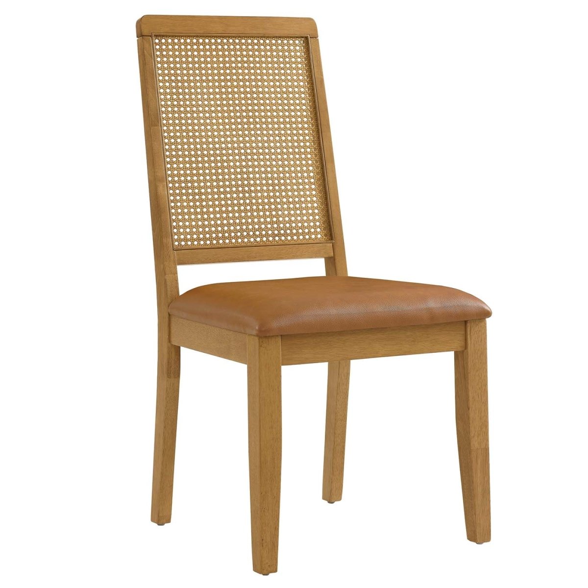 Arlo Vegan Leather Upholstered Faux Rattan and Wood Dining Side Chairs - Set of 2 - BUILDMYPLACE