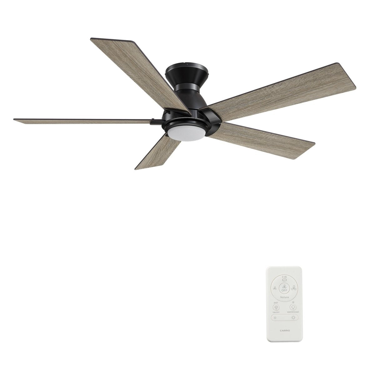 ASCENDER 48 inch 5 - Blade Flush Mount Smart Ceiling Fan with LED Light & Remote - LEDMyPlace