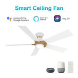 ASCENDER 48 inch 5 - Blade Flush Mount Smart Ceiling Fan with LED Light & Remote - LEDMyPlace