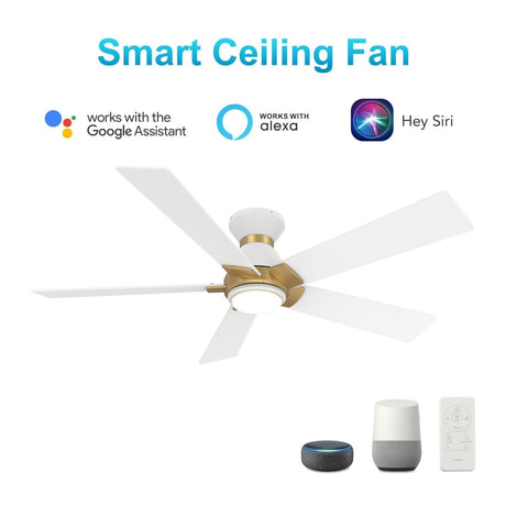 ASCENDER 48 inch 5 - Blade Flush Mount Smart Ceiling Fan with LED Light & Remote - LEDMyPlace