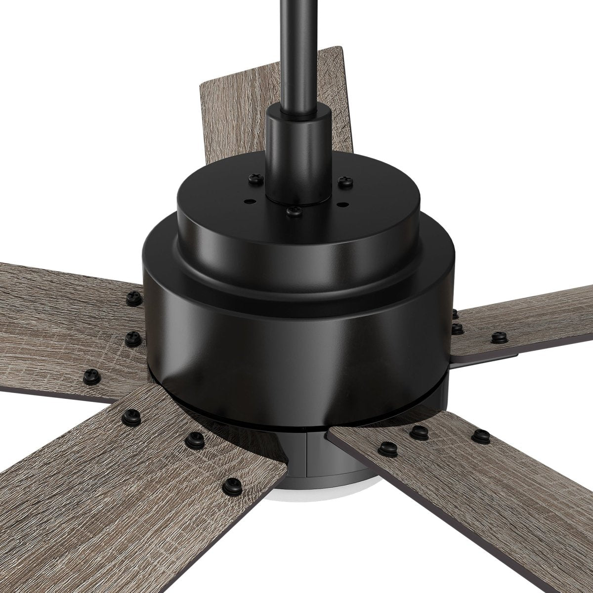 ASCENDER 48 inch 5 - Blade Smart Ceiling Fan with LED Light & Remote - LEDMyPlace