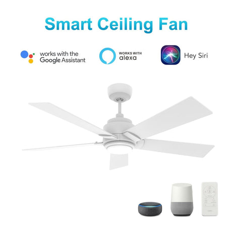 ASCENDER 48 inch 5 - Blade Smart Ceiling Fan with LED Light & Remote - LEDMyPlace