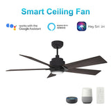 ASCENDER 52 inch 5 - Blade Smart Ceiling Fan with LED Light & Remote - LEDMyPlace